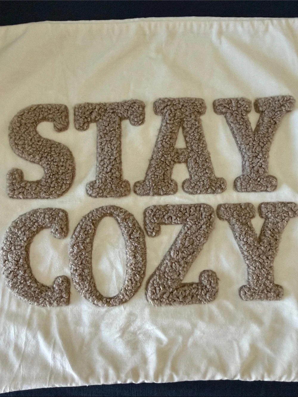 NWOT Stay Cozy Teddy Faux Fur Appliqué Pillow Cover